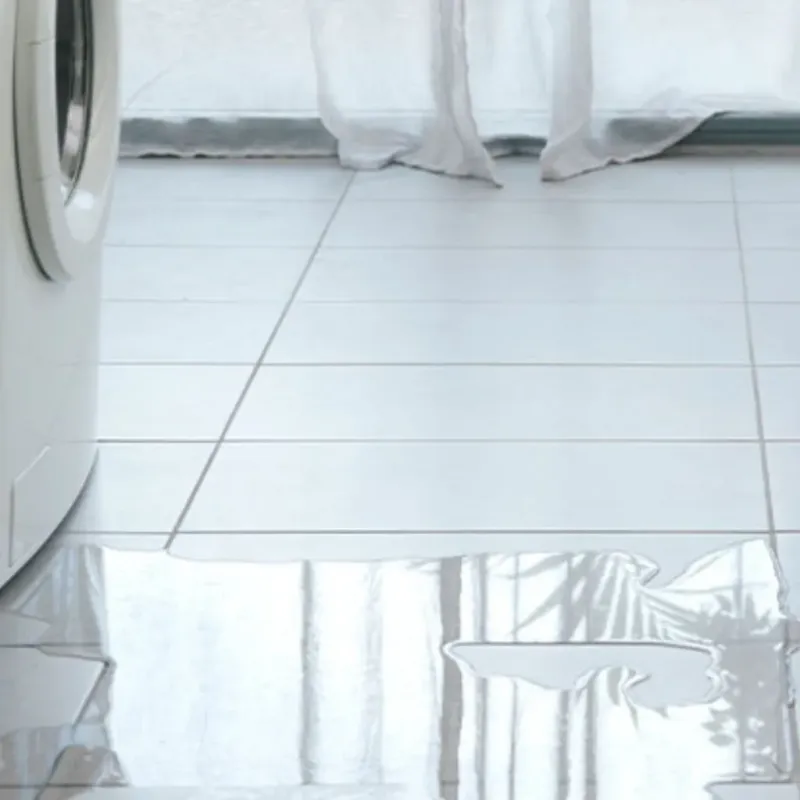 Appliance Leak Cleanup in Aldine, TX